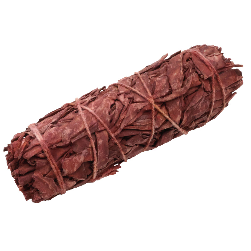 Sauge Sang de Dragon ficelle